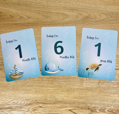 Sea World Milestone Cards