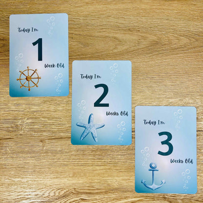Sea World Milestone Cards
